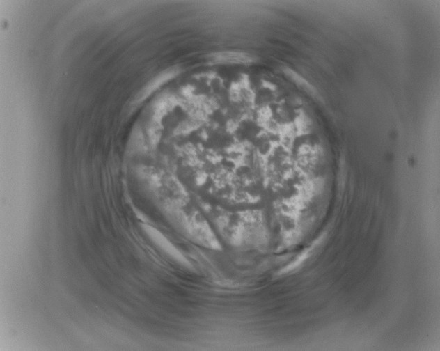 X0000082721401200702232309