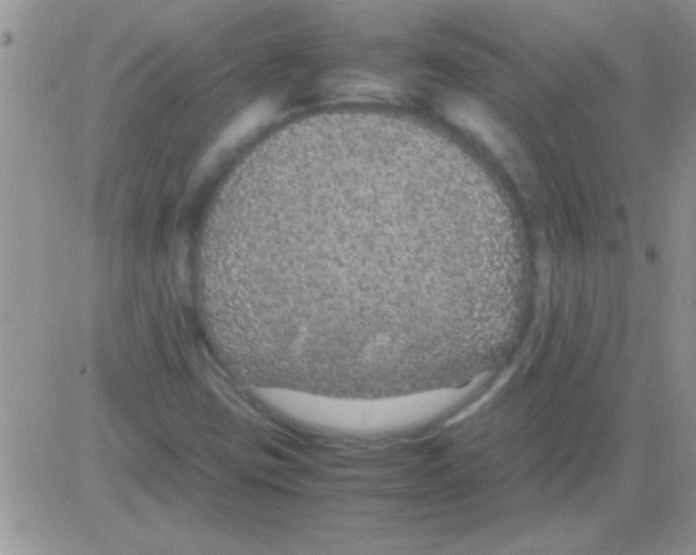 X0000082721403200702232309