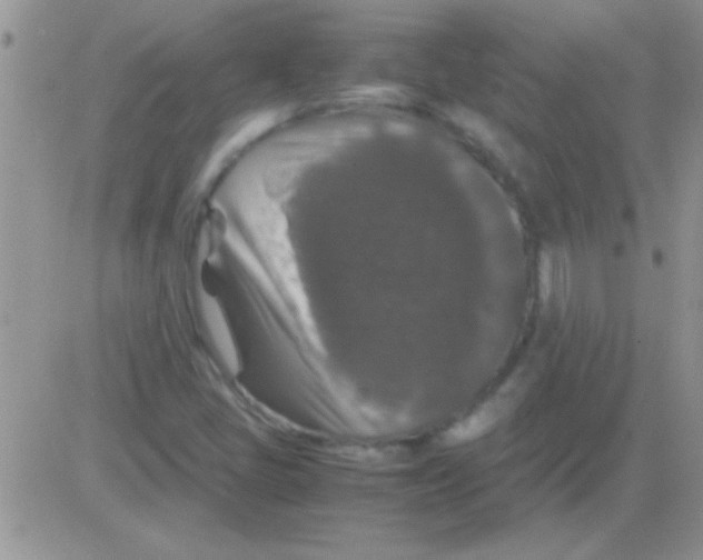 X0000082721405200702232310