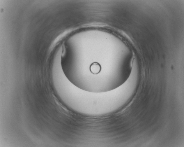 X0000082721406200702232310