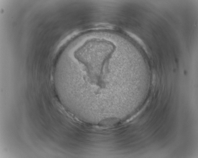 X0000082721407200702232310