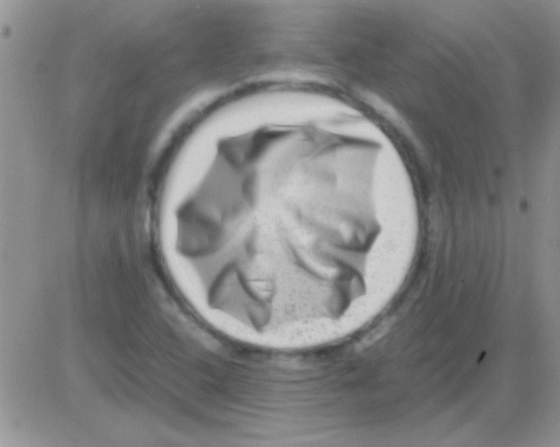 X0000082721408200702232310