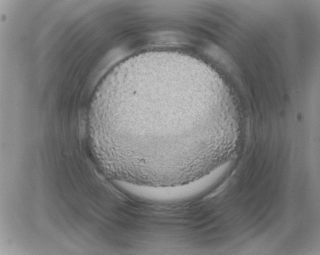 X0000082721409200702232310