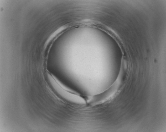 X0000082721410200702232310