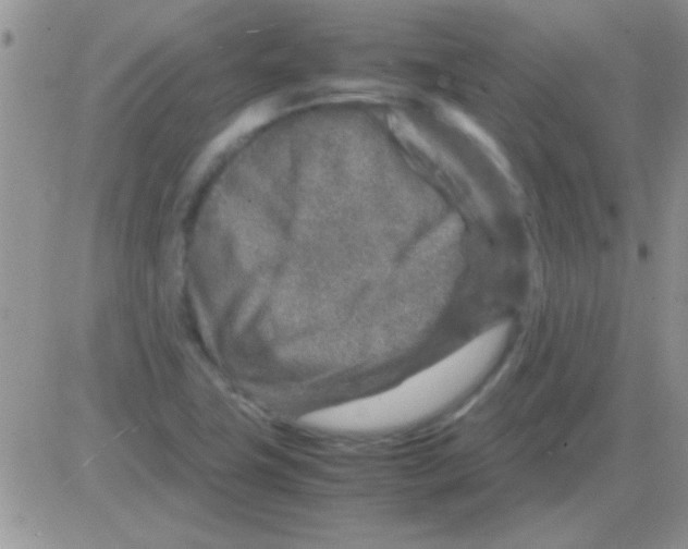 X0000082721411200702232310