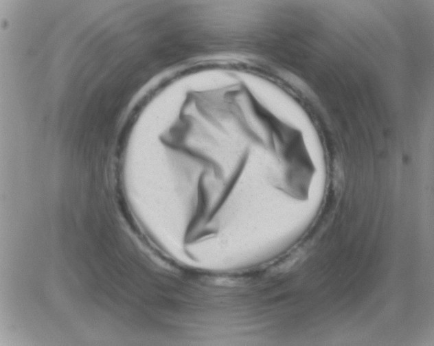 X0000082721412200702232310