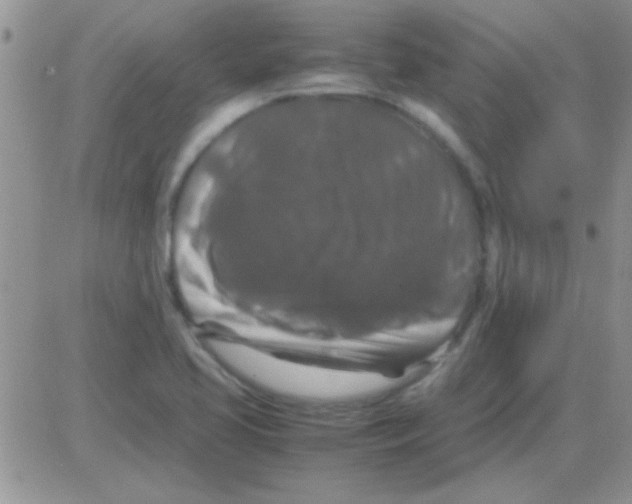 X0000082721413200702232310