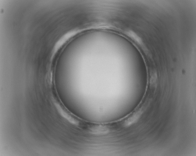 X0000082721414200702232310