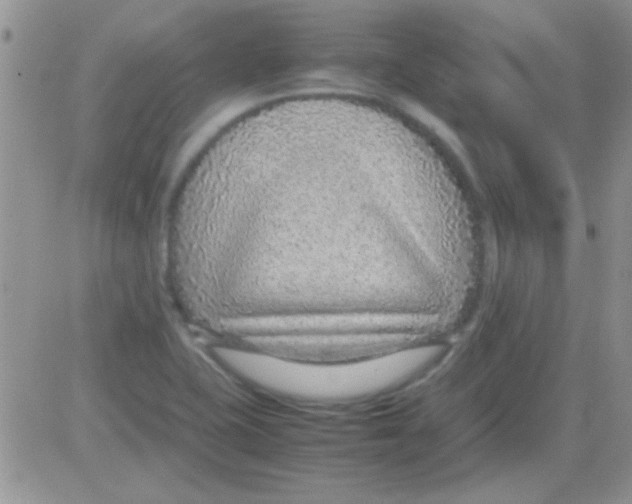 X0000082721415200702232310