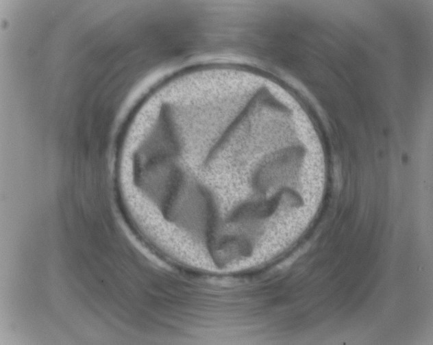 X0000082721416200702232310