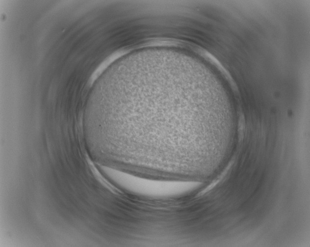 X0000082721417200702232310