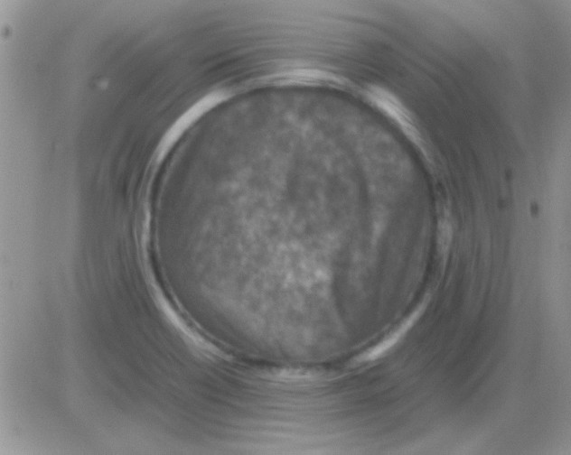 X0000082721418200702232310