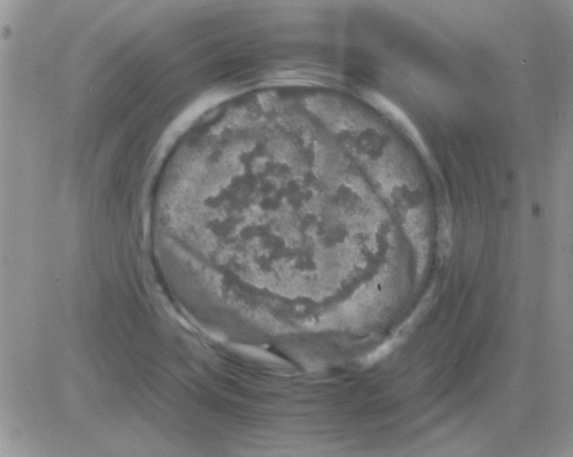 X0000082721419200702232310