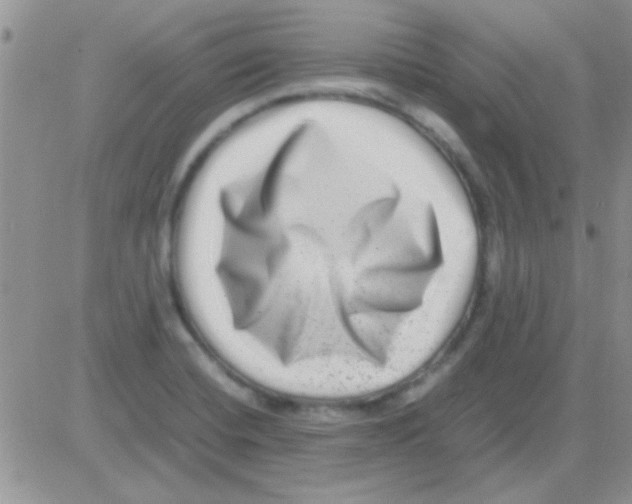 X0000082721420200702232310