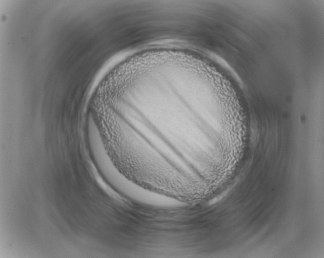 X0000082721421200702232310