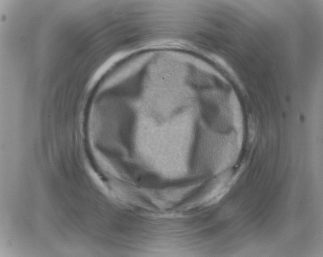 X0000082721422200702232310