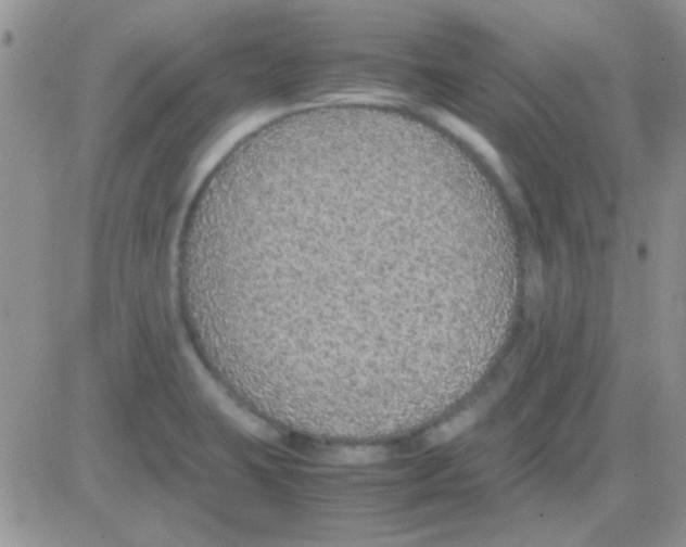 X0000082721423200702232310