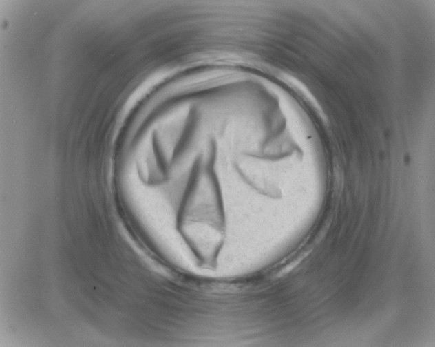 X0000082721424200702232310