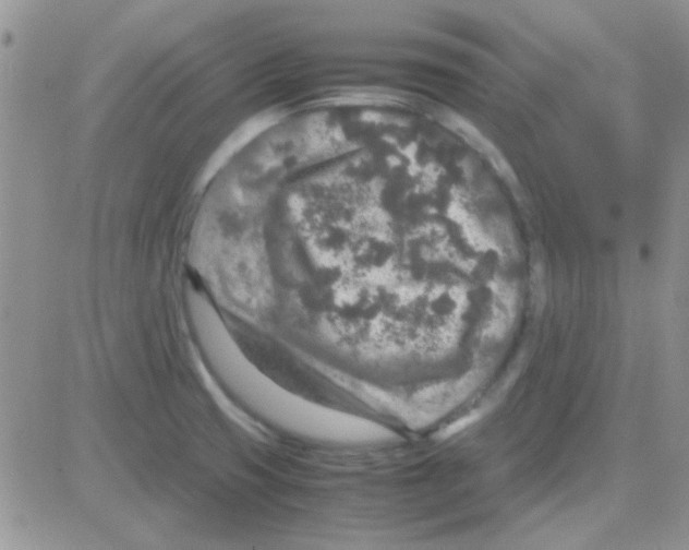 X0000082721425200702232310