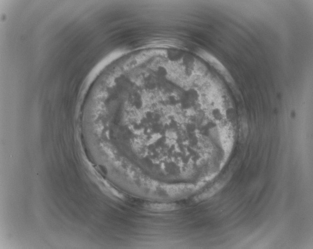 X0000082721427200702232310