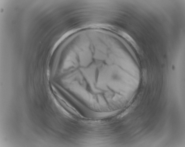 X0000082721428200702232310