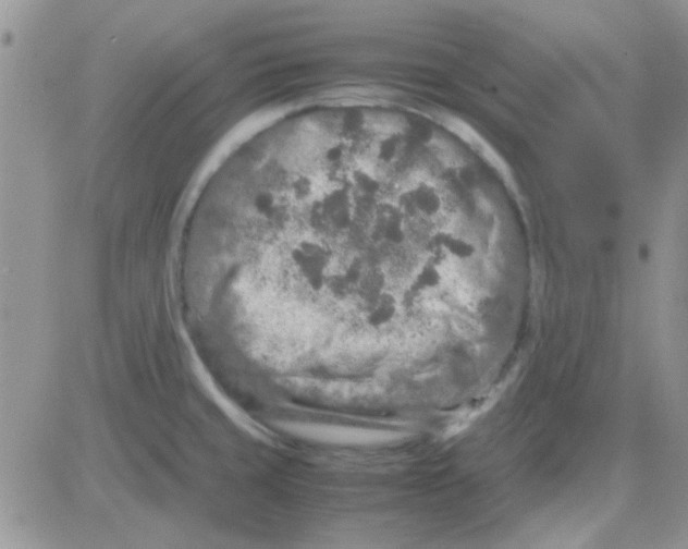 X0000082721429200702232310