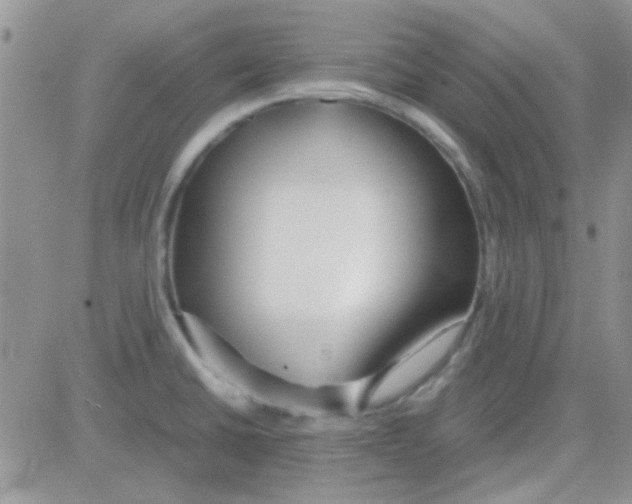 X0000082721430200702232310