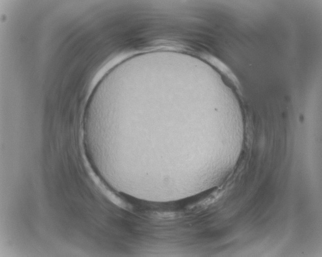 X0000082721431200702232310