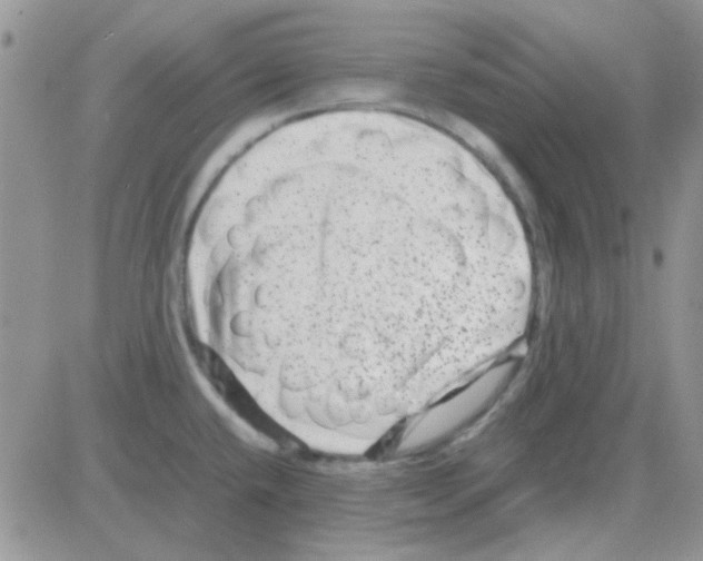 X0000082721432200702232310