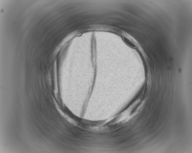 X0000082721433200702232310