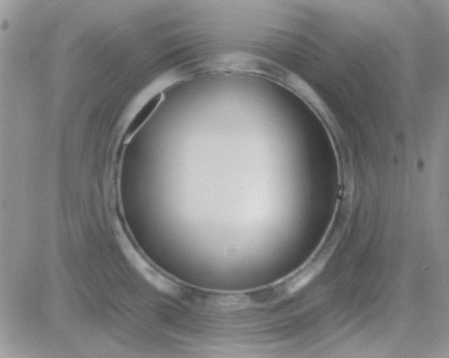 X0000082721434200702232310