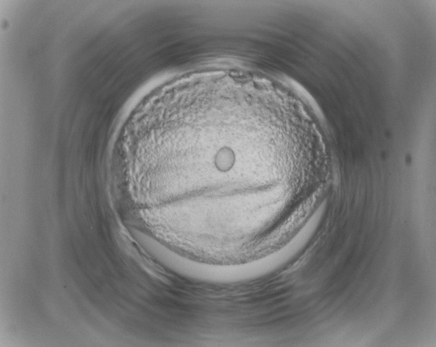 X0000082721435200702232310