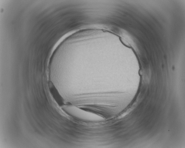 X0000082721436200702232310