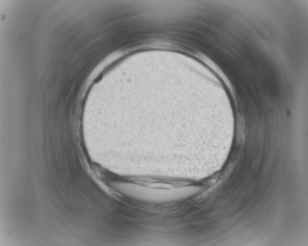 X0000082721437200702232310