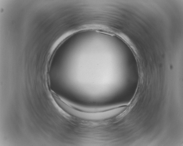 X0000082721438200702232310