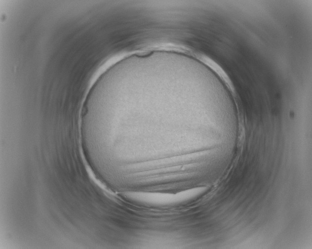 X0000082721439200702232310