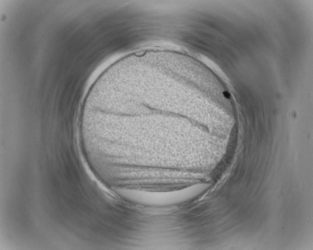 X0000082721440200702232310