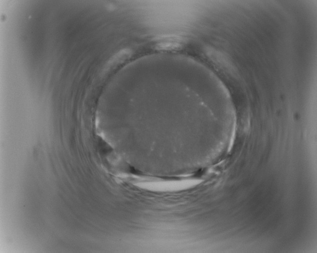 X0000082721441200702232309