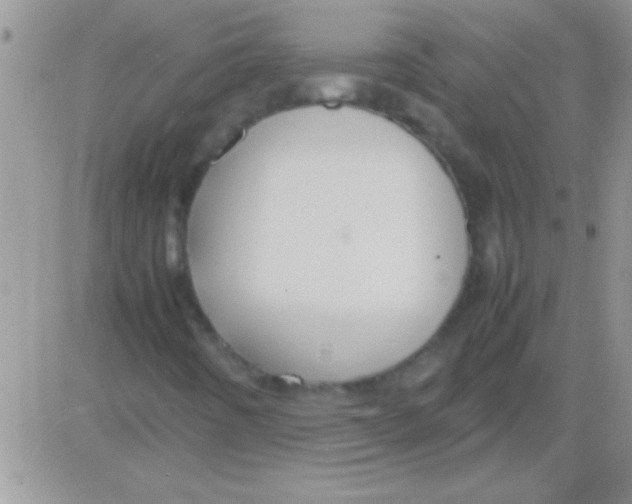 X0000082721442200702232309