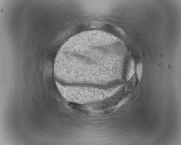 X0000082721443200702232309