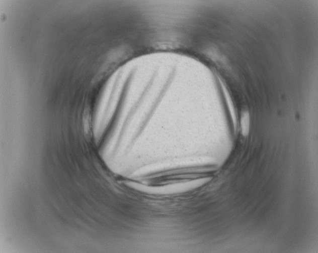 X0000082721444200702232309