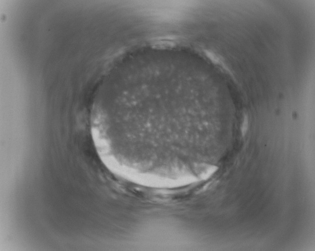 X0000082721445200702232309