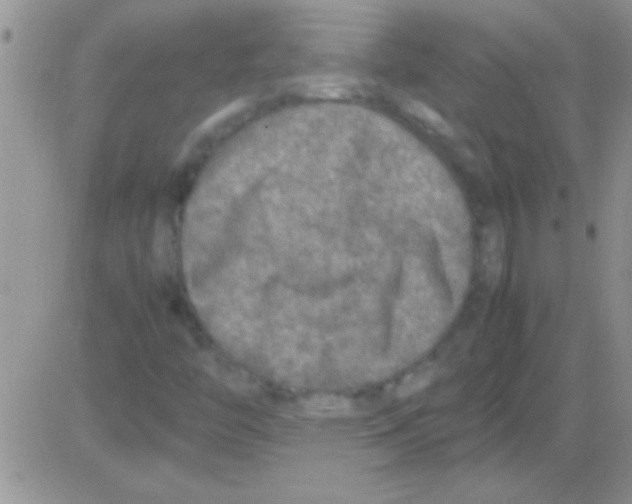 X0000082721446200702232309