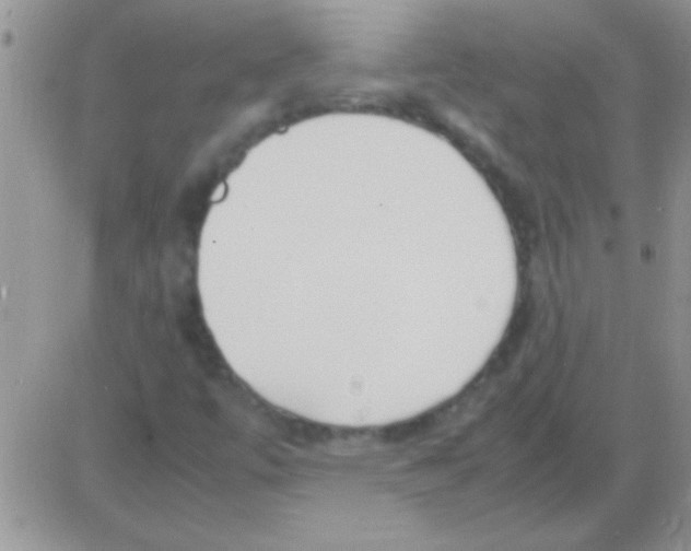 X0000082721447200702232309