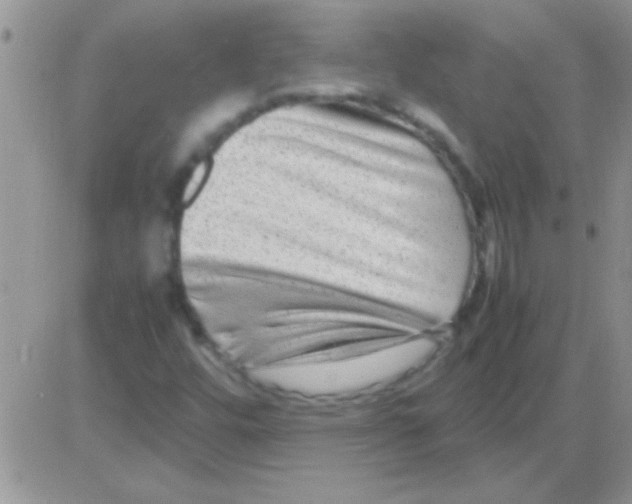 X0000082721448200702232309