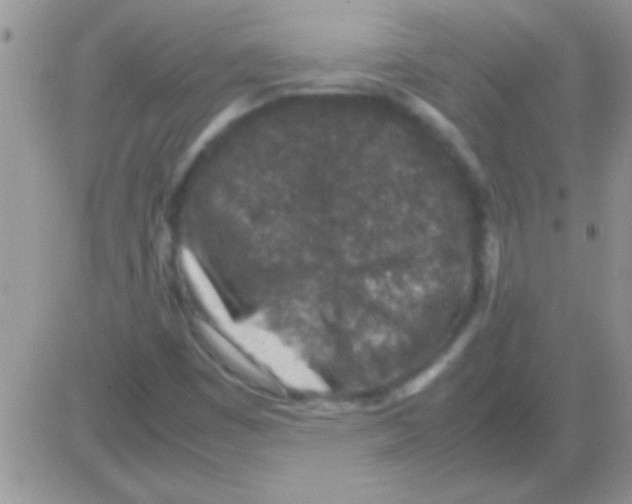 X0000082721449200702232309