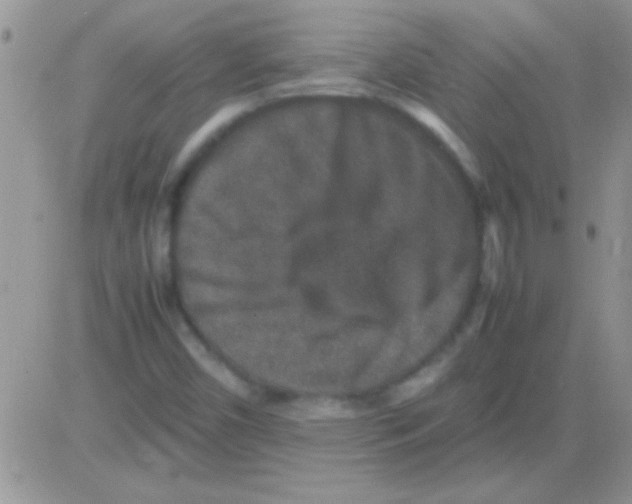 X0000082721450200702232309