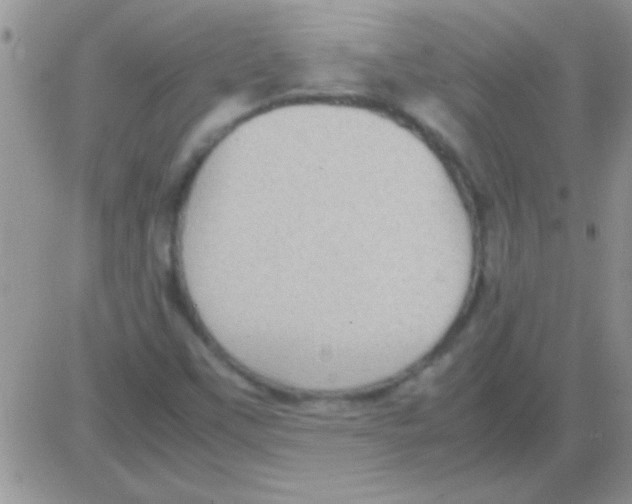 X0000082721451200702232309