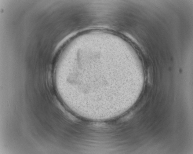 X0000082721452200702232309