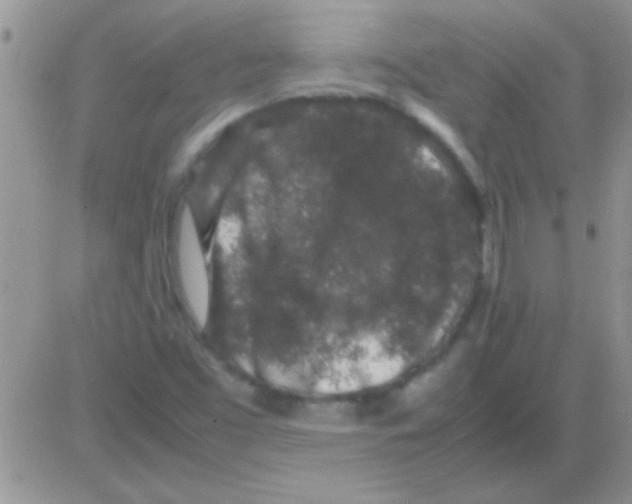 X0000082721453200702232309